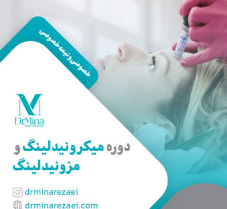 microneedling and mesoneedling course